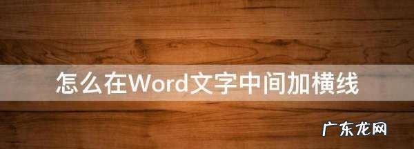 文本中的横线怎么添加上去了,怎样在word文档中添加电子照片