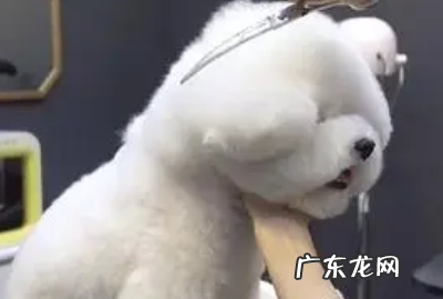 海底捞的特色服务有哪些,海底捞有哪些特色服务