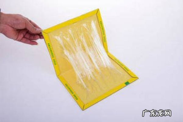 老鼠粘上的胶怎么洗掉,老鼠胶粘到衣服上怎么去掉