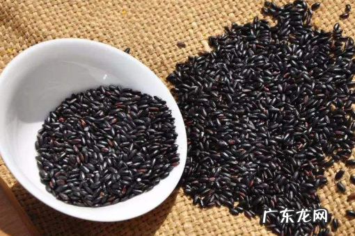 黑米熬粥前用泡,黑米需要泡一晚才可以煮粥么