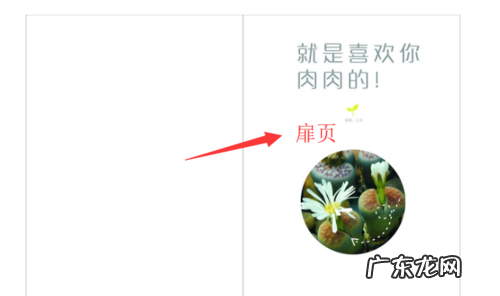 环衬是什么意思,艘组词的含义和作用