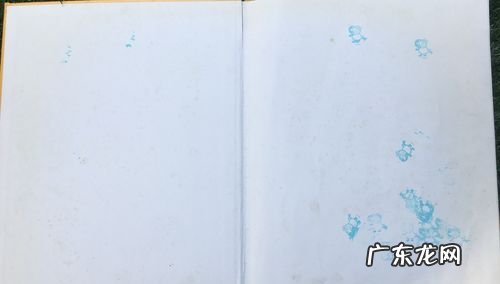 环衬是什么意思,艘组词的含义和作用