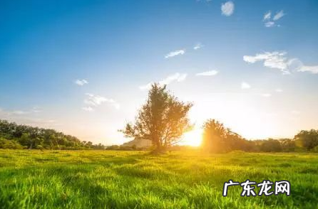 早上祝福语 早上祝福语列述,早上祝福语最温馨的话