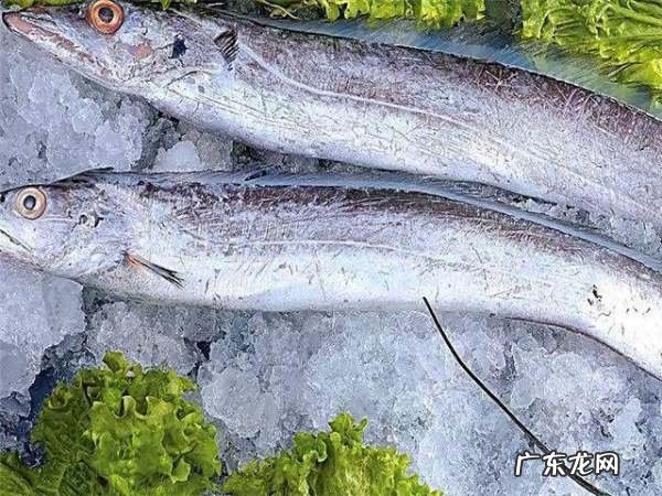 带鱼解冻方法,速冻带鱼怎么处理干净