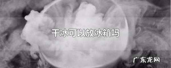 干冰可以放冰箱,干冰可以放冰箱里保存