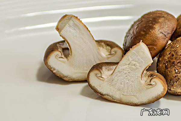 买香菇怎么选,怎么挑选香菇好