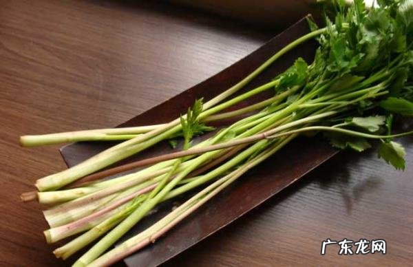 什么是水芹菜,水芹和芹菜有什么区别