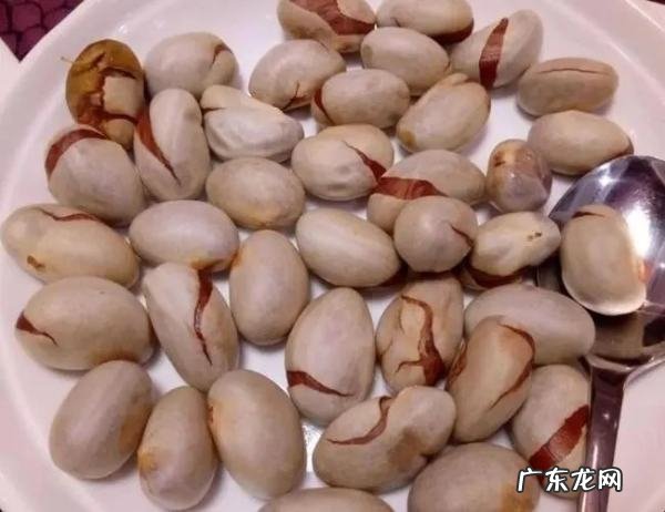 菠萝蜜的核是能吃,菠萝蜜的核能吃有什么功效和禁忌