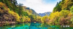 九寨沟县景点 九寨沟县景点大全