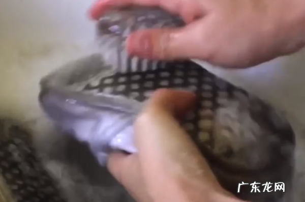 怎么刷白鞋干净又不发黄,怎么洗白鞋子干净