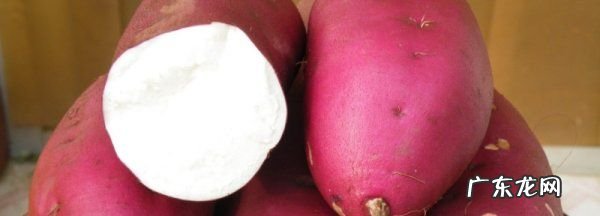 红薯是主食还是什么食物,红薯是蔬菜还是水果
