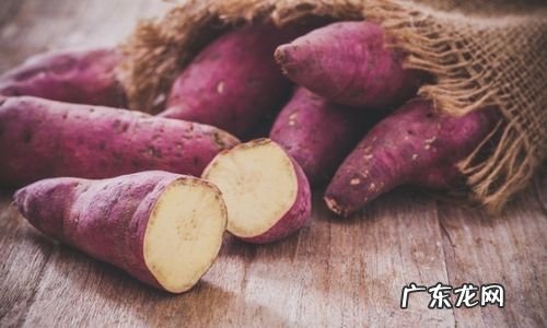 红薯是主食还是什么食物,红薯是蔬菜还是水果