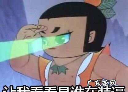 网络336是什么意思,336是什么意思