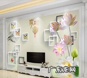 8d和5d有什么区别,佳能5d4和80d哪个好