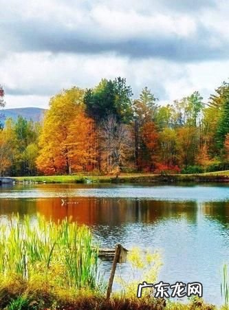 美到极致的意思是什么意思,什么是极致的恶