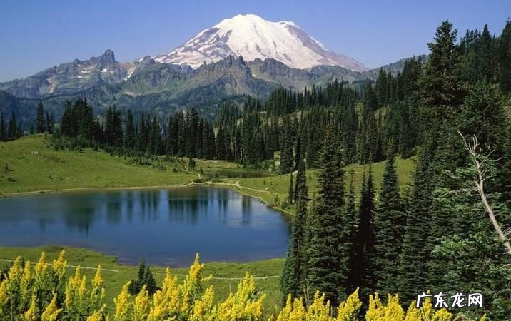 美到极致的意思是什么意思,什么是极致的恶