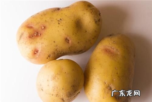 网络用语土豆什么意思,种土豆是什么意思网络用语