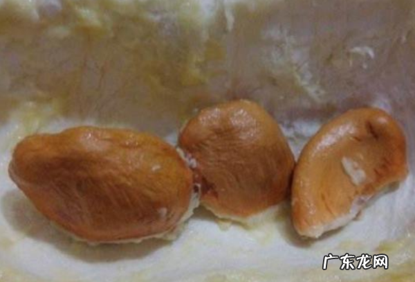 榴莲籽可以生吃,榴莲籽可以吃