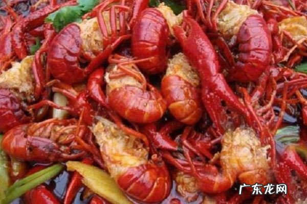 小龙虾的头可以吃吗,小龙虾的虾头能吃