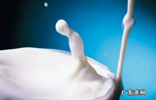 鲜牛奶结块了能喝,牛奶结块了还能喝