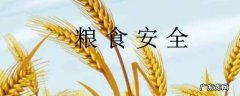 粮食安全的重要性 粮食安全有多重要
