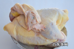 熬鸡汤的正确方法,炖鸡汤的红色长的是什么