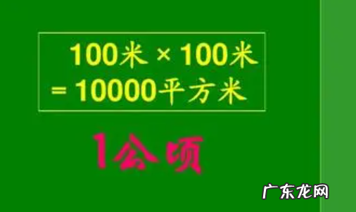 公顷等于多少平方千米,一公顷等于多少平方千米