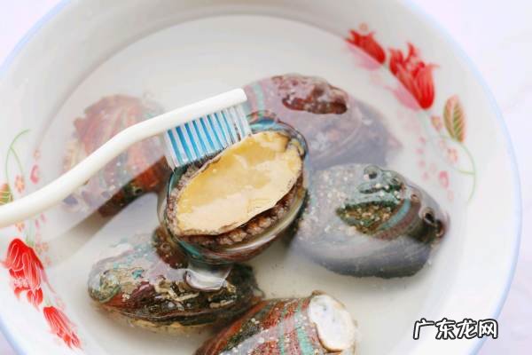 生鲍鱼蒸多长时间,鲍鱼蒸多久最佳时间