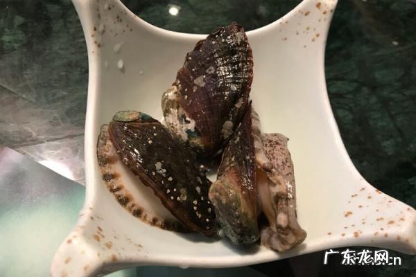 生鲍鱼蒸多长时间,鲍鱼蒸多久最佳时间