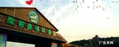 大东区景点 沈阳大东区景点