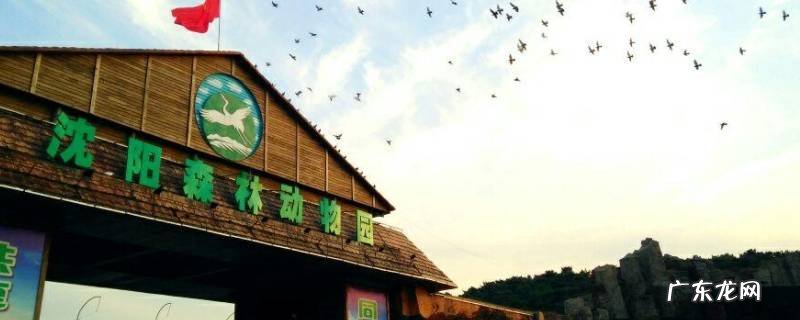 大东区景点 沈阳大东区景点