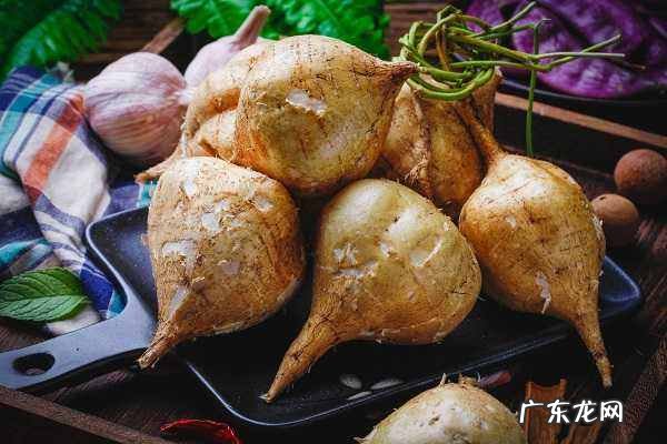 凉薯吃多了会怎么样,吃凉薯后胃疼是怎么回事