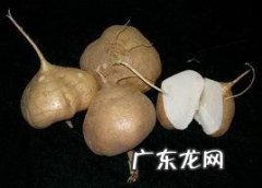 凉薯吃多了会怎么样,吃凉薯后胃疼是怎么回事