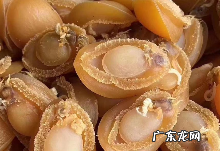 鲍鱼干可以储存多久,鲍鱼干可以存放几十年