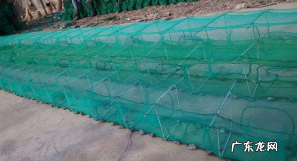 下地笼里边放什么,地笼子里面放什么东西抓的鱼多