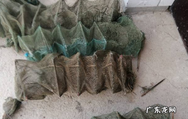 下地笼里边放什么,地笼子里面放什么东西抓的鱼多