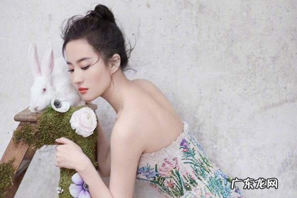 仙女姐姐电视剧是什么,仙女姐姐的那个电视剧叫什么古装