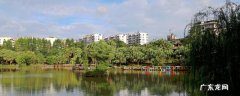 西乡塘区景点 西乡塘区旅游景点
