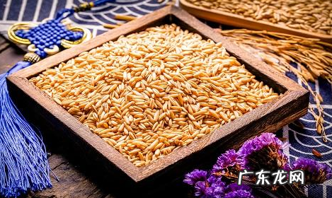糙米可以蒸米饭,糙米和大米可以一起蒸米饭
