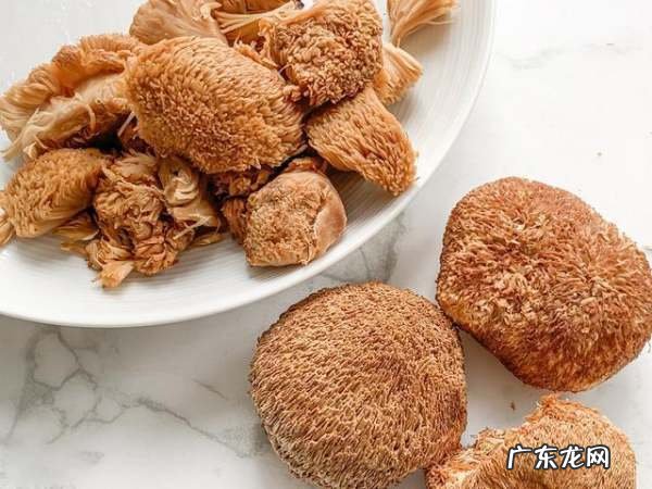 为什么猴头菇嚼不烂,泡了一天一夜的木耳还可以吃