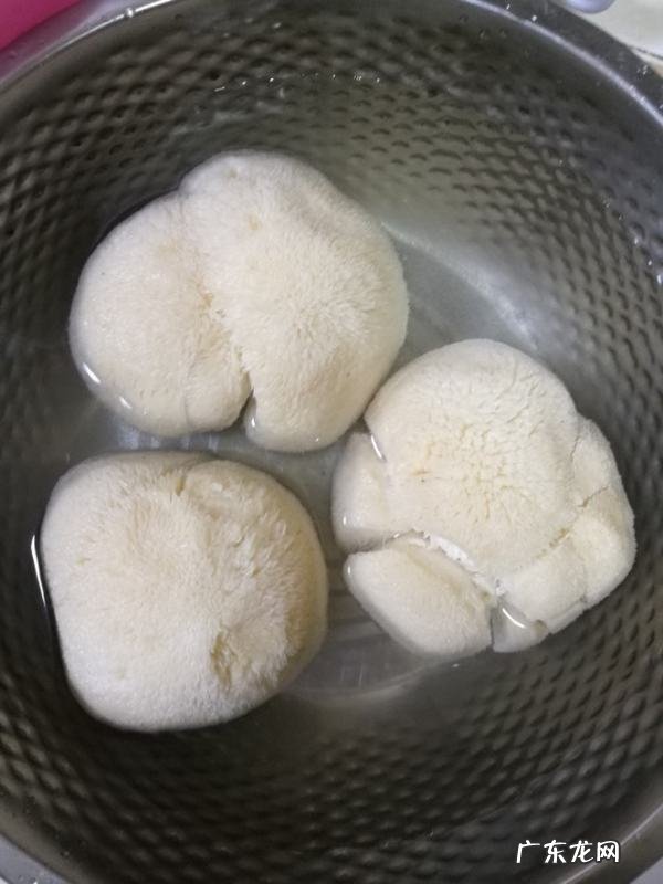 为什么猴头菇嚼不烂,泡了一天一夜的木耳还可以吃