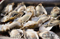 怎样开生蚝最快,怎样撬开生蚝壳