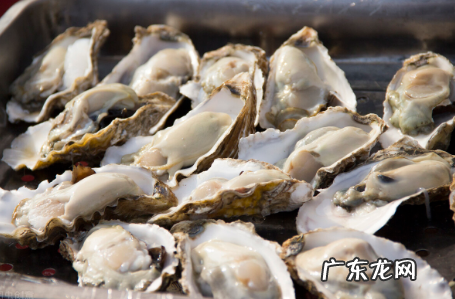 怎样开生蚝最快,怎样撬开生蚝壳