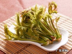 香椿冻了半年能吃,香椿放冰箱冷冻一年了还能吃