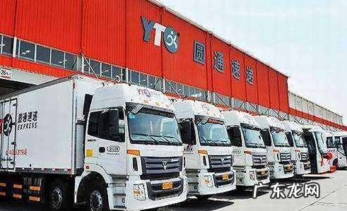 圆通速递单号查询不到为什么,圆通速递单号查询不到怎么办