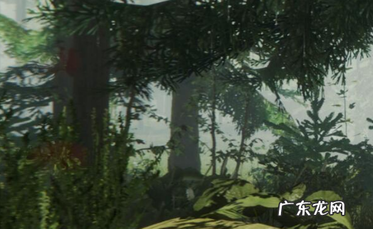 森林steam叫什么,steam森林叫什么名字