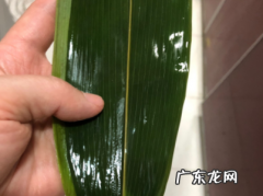 粽子怎么包得紧,粽子包什么好吃