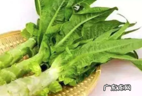 莴笋叶子可以生吃,菜笋的叶子可以生吃