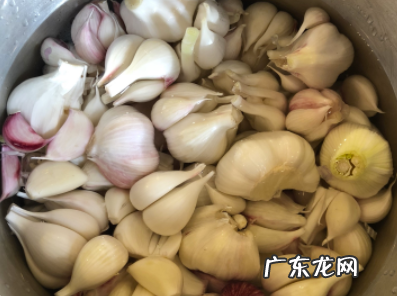 糖醋蒜为什么冒气泡,腊八蒜为什么会有气泡