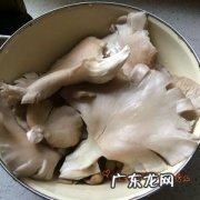 炸蘑菇用什么蘑菇,炸蘑菇用哪种蘑菇好吃